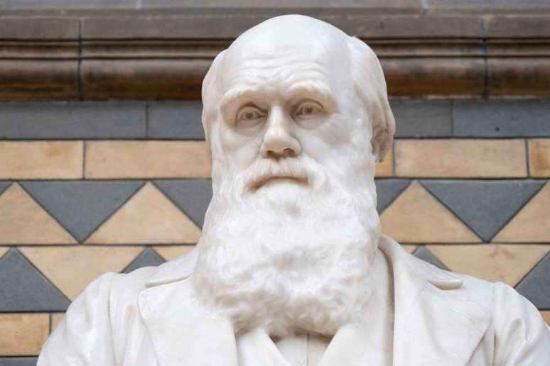 Estátua de Charles Darwin em museu na Austrália