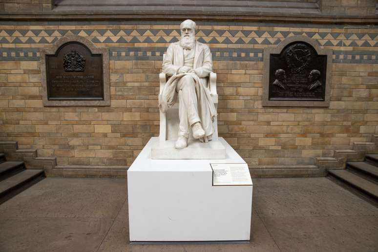 Estátua de Charles Darwin em museu na Austrália