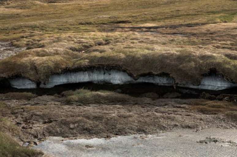 Permafrost sob a tundra, mostrando o solo congelado sob as plantas: região estoca um quantidade fenomenal de carbono, mais de 1 trilhão de toneladas, ou o dobro de todas as florestas e solos tropicais Margo Photography, Shutterstock