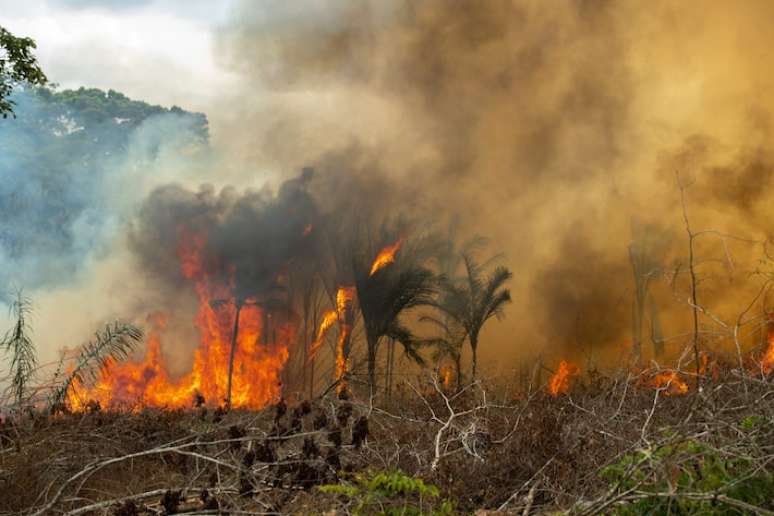 Árvores cortadas são queimadas em Bujaru, no Estado do Pará; expectativa é de que o governo apresente na COP mais detalhes da sua nova meta climática.