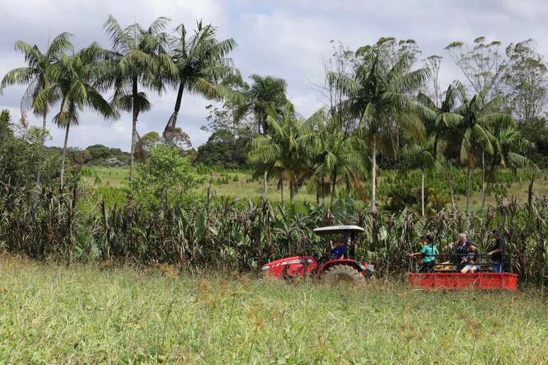 Tour de trator em Parelheiros 