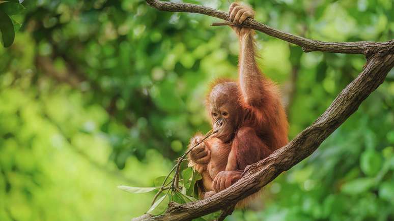 5 Proven Ways to Protect the Planet and Reverse Environmental Destruction