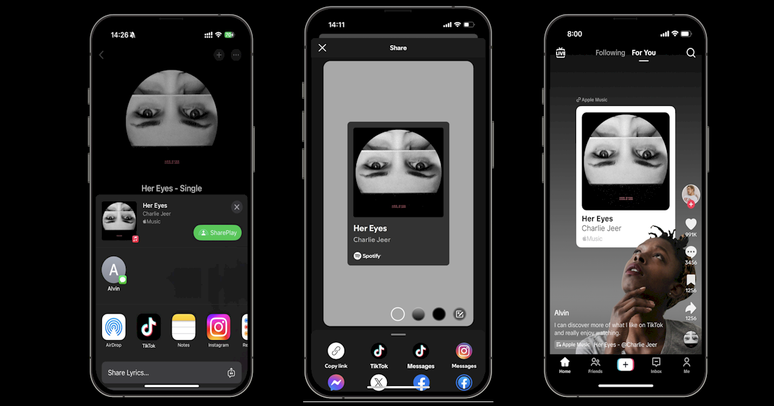 TikTok: Spotify e Apple lan&ccedil;am recurso para compartilhar m&uacute;sica na plataforma
