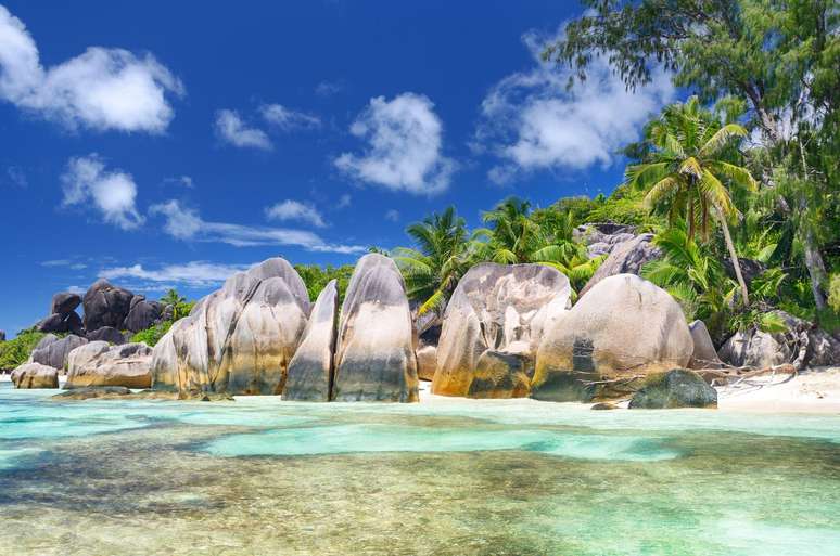 The Seychelles Islands have seen a huge return of whales after the creation of marine protected areas