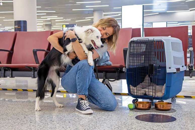 Novas regras devem aumentar a segurança e o conforto dos pets domésticos durante viagens de avião