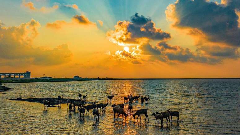 World leaders have pledged to protect 30% of the planet's lands and oceans by 2030