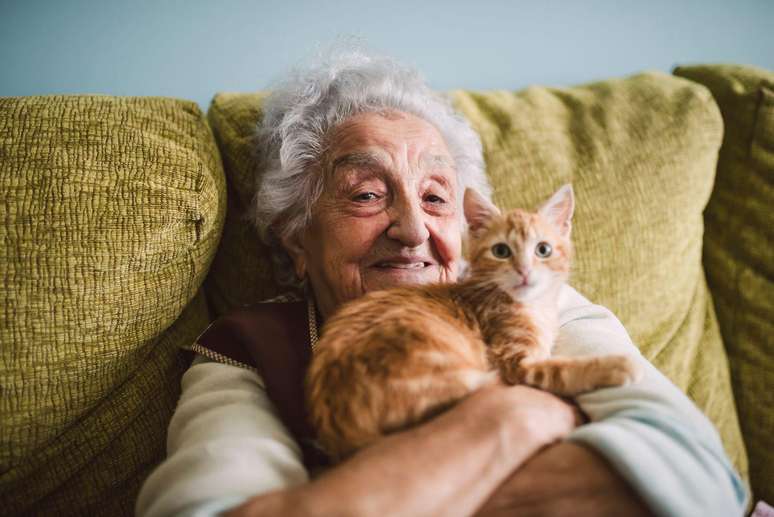 Gatos são ótimas companhias para idosos