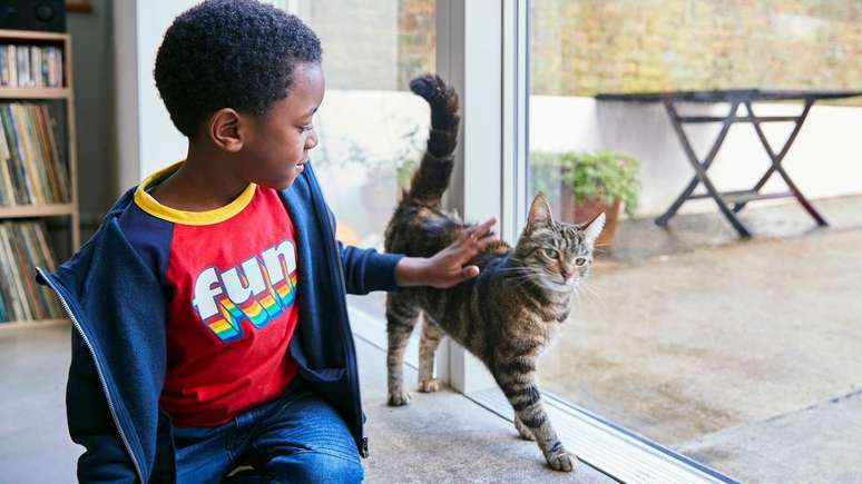 Os gatos ficam com o rabo para cima quando estão felizes