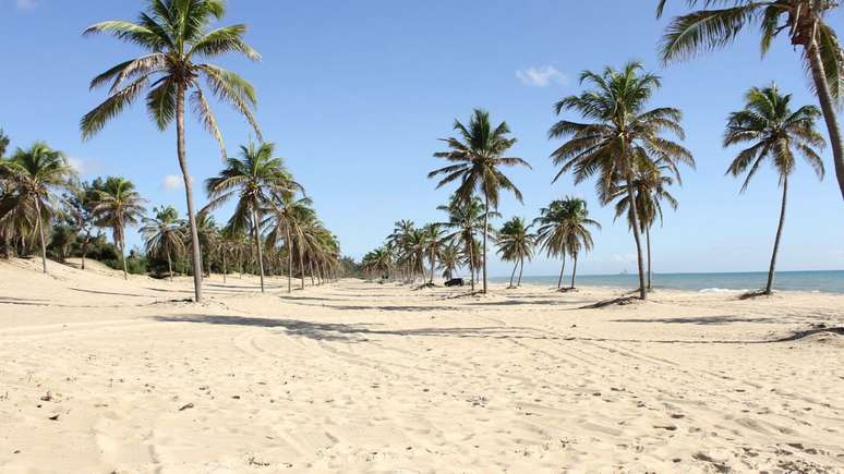 Além das praias, Fortaleza possui diversos pontos turísticos para você curtir desde arte até as comidas locais; confira