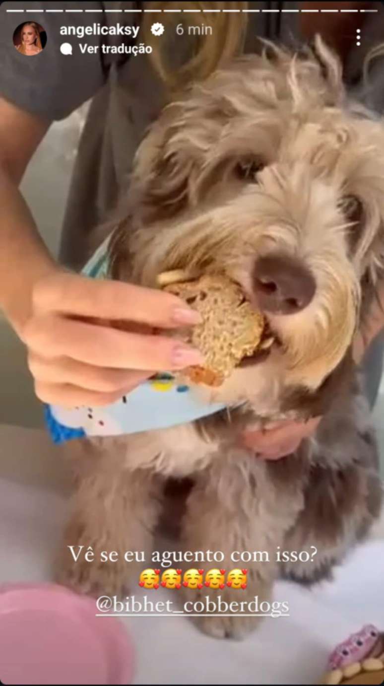 Angélica faz aniversário para sua cachorra