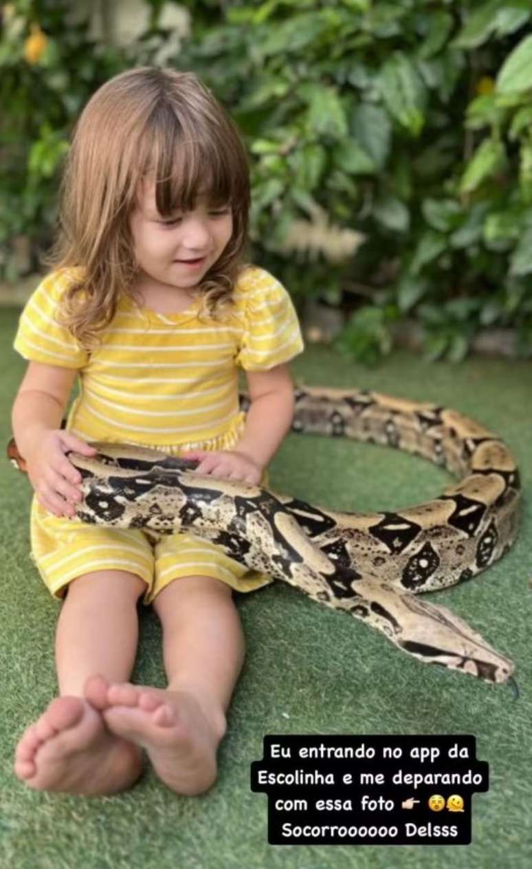 Reprodu&ccedil;&atilde;o/Instagram