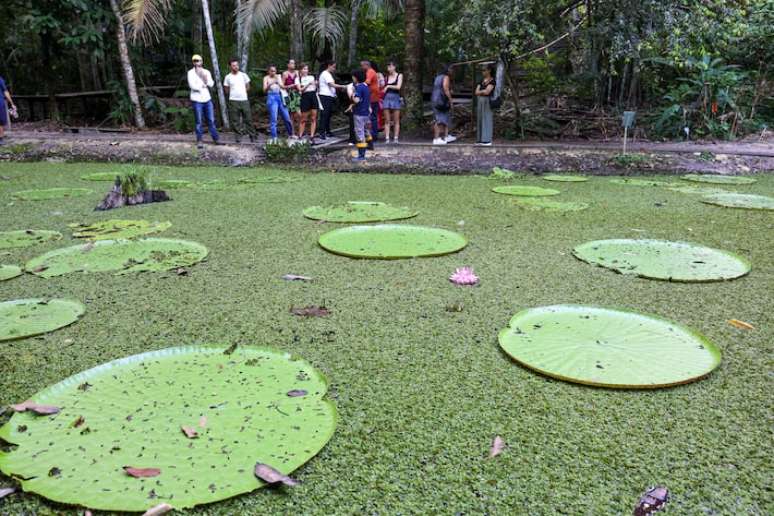 Visitantes no Museu da Amazônia