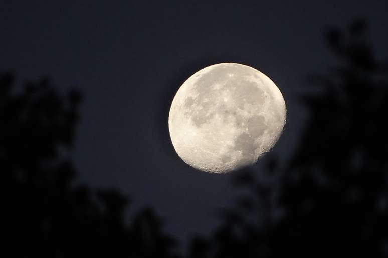 lua cheia de novembro