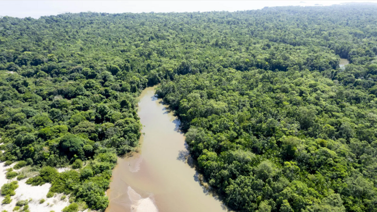 Biden será o primeiro presidente americano em exercício a visitar a floresta amazônica