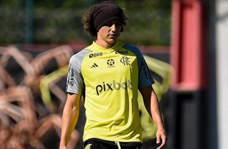 Marcelo Cortes/Flamengo - Legenda: David Luiz é mais um desfalque para a partida contra o Cuiabá