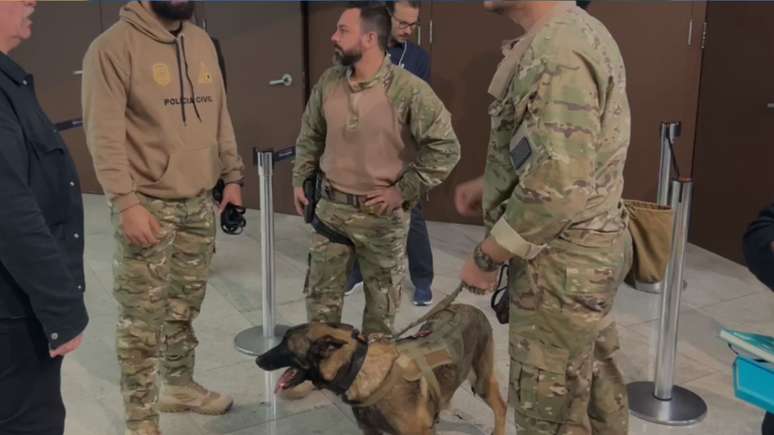 Cão farejador de bombas é usado em esquema de segurança de evento em SP