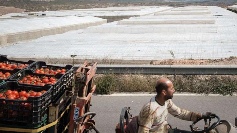 Os migrantes aliviaram a escassez de mão de obra em setores como a agricultura