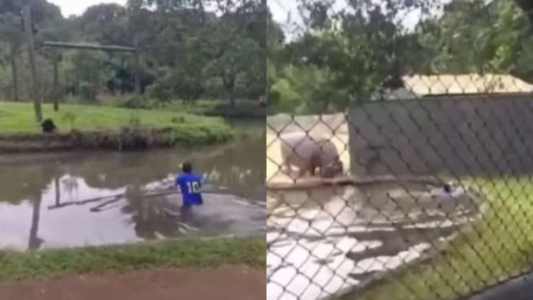 PR: Homem é detido após invadir espaços de macacos e hipopótamos no zoológico