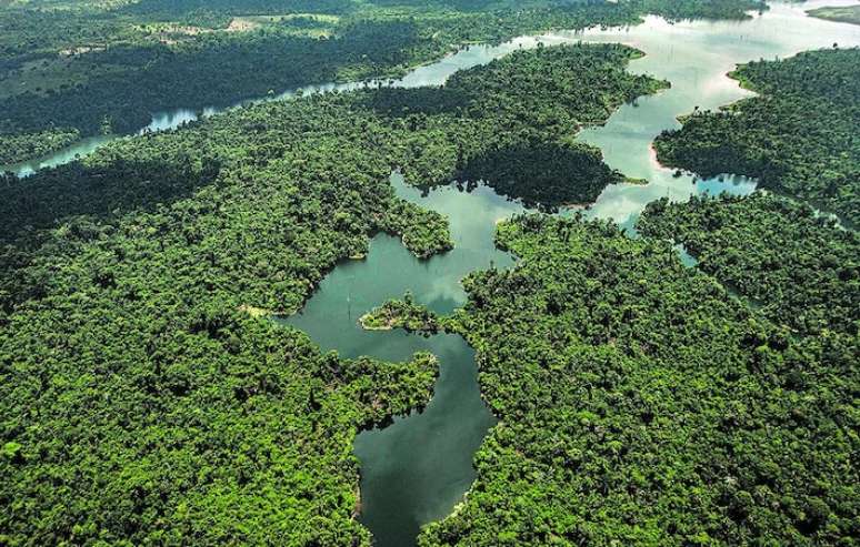 Mercado de carbono pode gerar recursos por meio da preservação de florestas, por exemplo