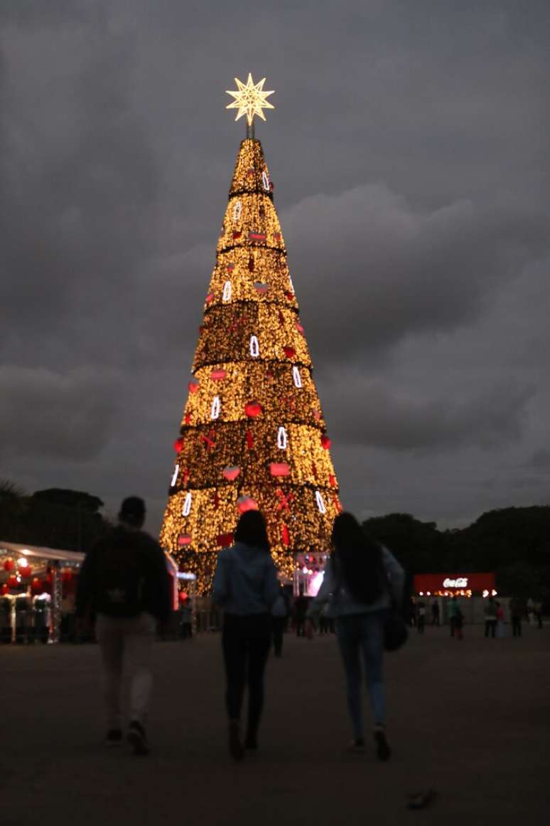 Com 55 metros de altura e 210 mil pontos de iluminação LED, árvore do parque Villa-Lobos será inaugurada neste sábado.