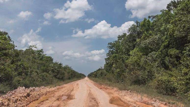 Muitos grupos indígenas poderiam ser diretamente ameaçados pela recuperação da BR-319, se a estrada trouxer grileiros e aumentar o desmatamento