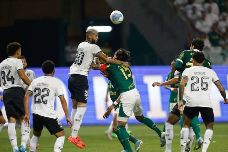 Palmeiras foi derrotado pelo Botafogo no Allianz Parque.