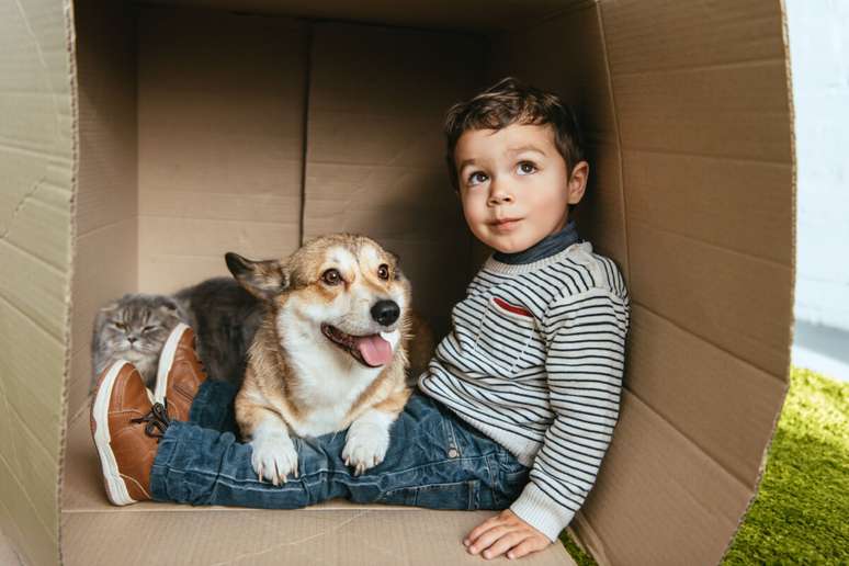 O treinamento pode ajudar nas interações do cachorro com a criança 