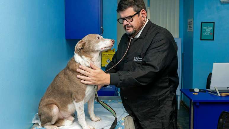 Pierre Escodro e um cachorro que foi abandonado e resgatado em área afetada por mina da Braskem em Maceió