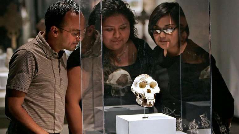 Pesquisadores do Museu de Ciências Naturais de Houston, (a partir da esquerda) Jeff Luna, Vanessa García e Becky Gutiérrez, observam uma réplica do crânio de Lucy