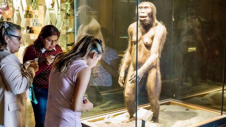 Lucy pertence à espécie Australopithecus afarensis