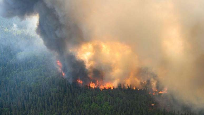 As mudanças climáticas aumentam a possibilidade de ocorrência de incêndios florestais, segundo o Painel Intergovernamental sobre Mudanças Climáticas (IPCC)