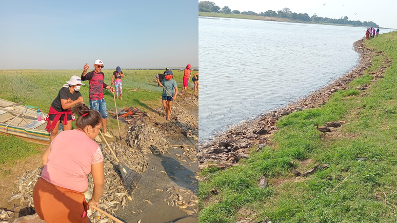 Mortandade de peixes no Igarapé do Costa preocupa ribeirinhos no interior do Pará