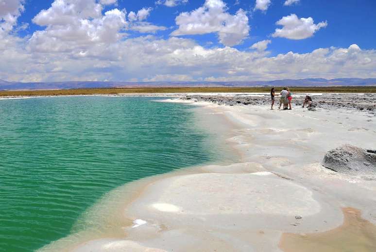 Laguna Cejar 