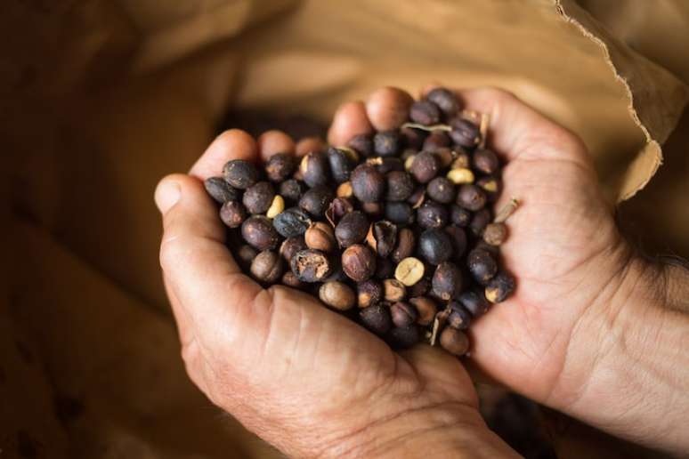 O Brasil o segundo maior consumidor de café do mundo, segundo a Associação Brasileira da Indústria de Café (Abic).