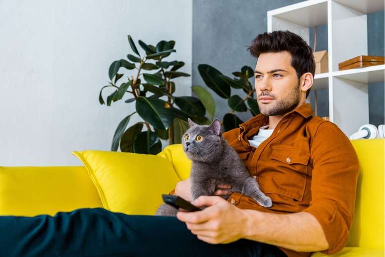 Gunther é o nome ideal para gatos que gostam de observar à distância 