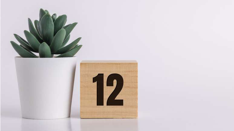 Entenda mais sobre o portal 12/12 e saiba como aproveitar esse último portal do ano para mudar padrões na sua vida.