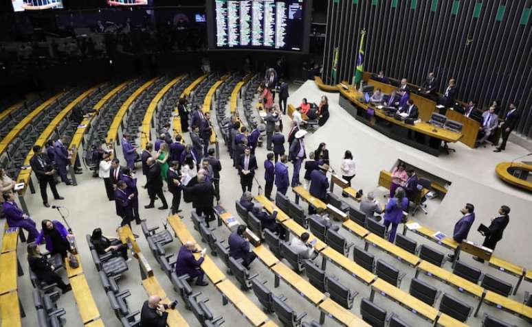 Ricardo Salles foi o autor da emenda da castra&ccedil;&atilde;o qu&iacute;mica.