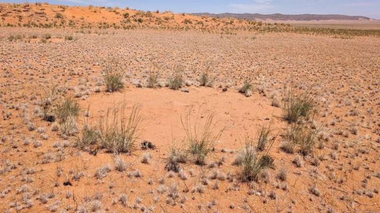A teoria mais aceita &eacute; a de que foram criados por um tipo de cupim de areia, o Psammotermes allocermes