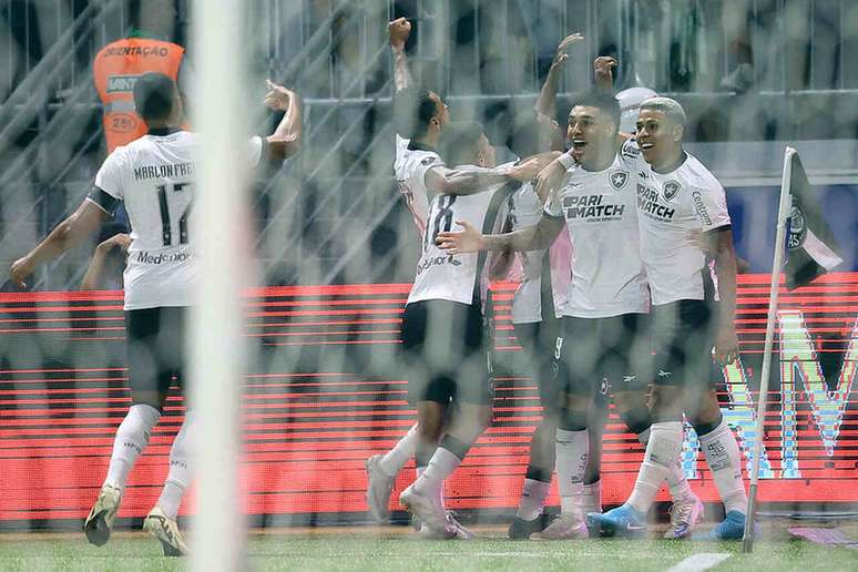 Botafogo e Palmeiras pela Libertadores &ndash;