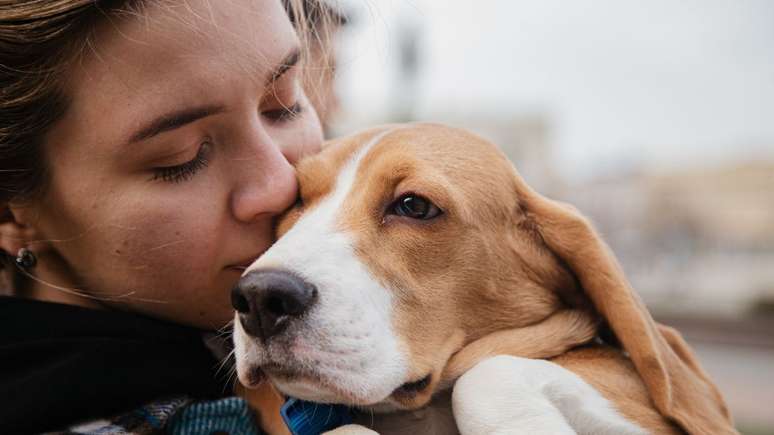 Do you want to take your pet on the road with you? So check out three tips