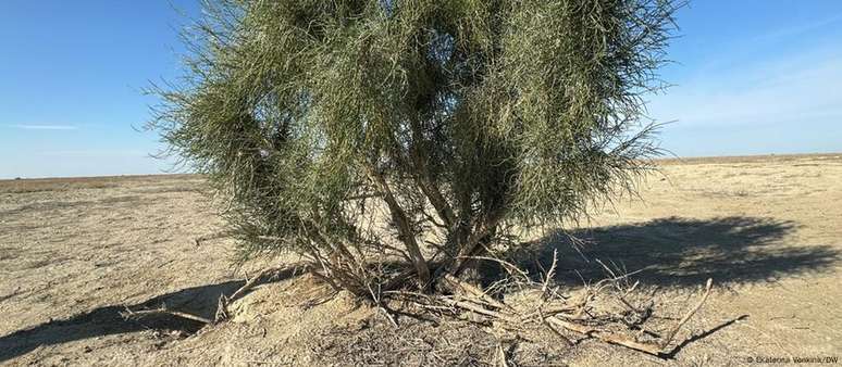 O deserto de Aralkum se estende por quilômetros e quilômetros entre o Cazaquistão e o Uzbequistão