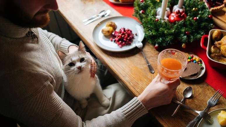 Veja o que não dar para os pets na ceia de Natal