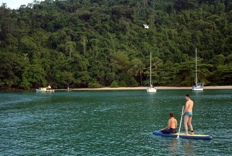 Ilha do Cedro 