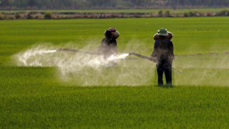 'O Brasil subsidia o petróleo do agronegócio, mas não a gasolina do produtor de banana', afirma Medeiros