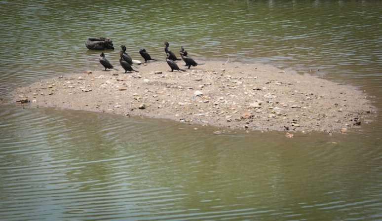 WS S&Atilde;O PAULO 19/12/2024 - LAGO IBIRAPUERA - CIDADES - O espet&aacute;culo das &aacute;guas no Ibirapuera v&atilde;o ser reduzidas devido ao baixo n&iacute;vel de &aacute;gua no lado. FOTO:Werther Santana/Estad&atilde;o