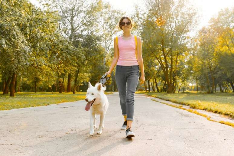 O tutor deve ensinar o cachorro a caminhar ao seu lado 