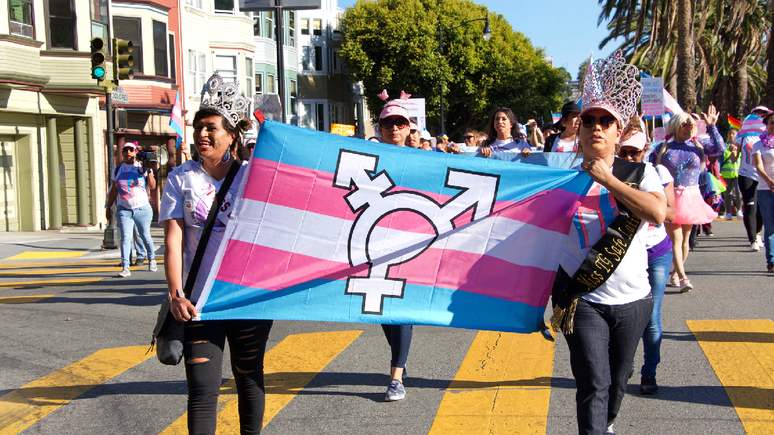 Bandeira da população trans