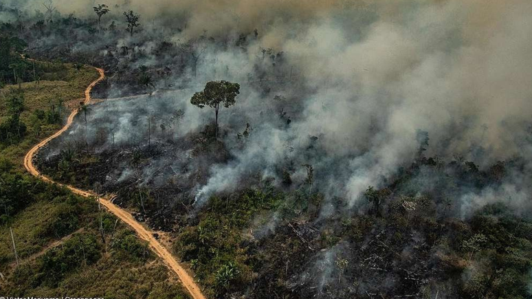 Amazônia é o bioma com maior registro de queimadas em 2024