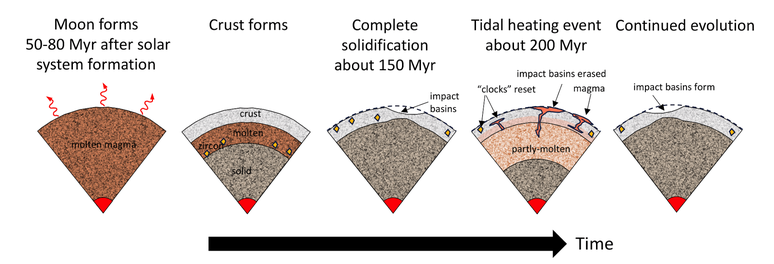 Um diagrama que mostra o interior da Lua desde a fusão até a formação de uma crosta, passando pela solidificação, com um evento de aquecimento por maré que tornou o interior parcialmente fundido novamente.