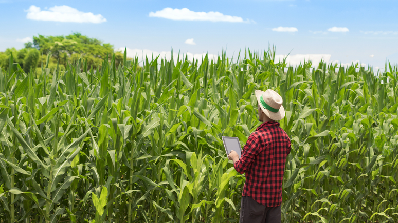 Gestão eficiente no agronegócio